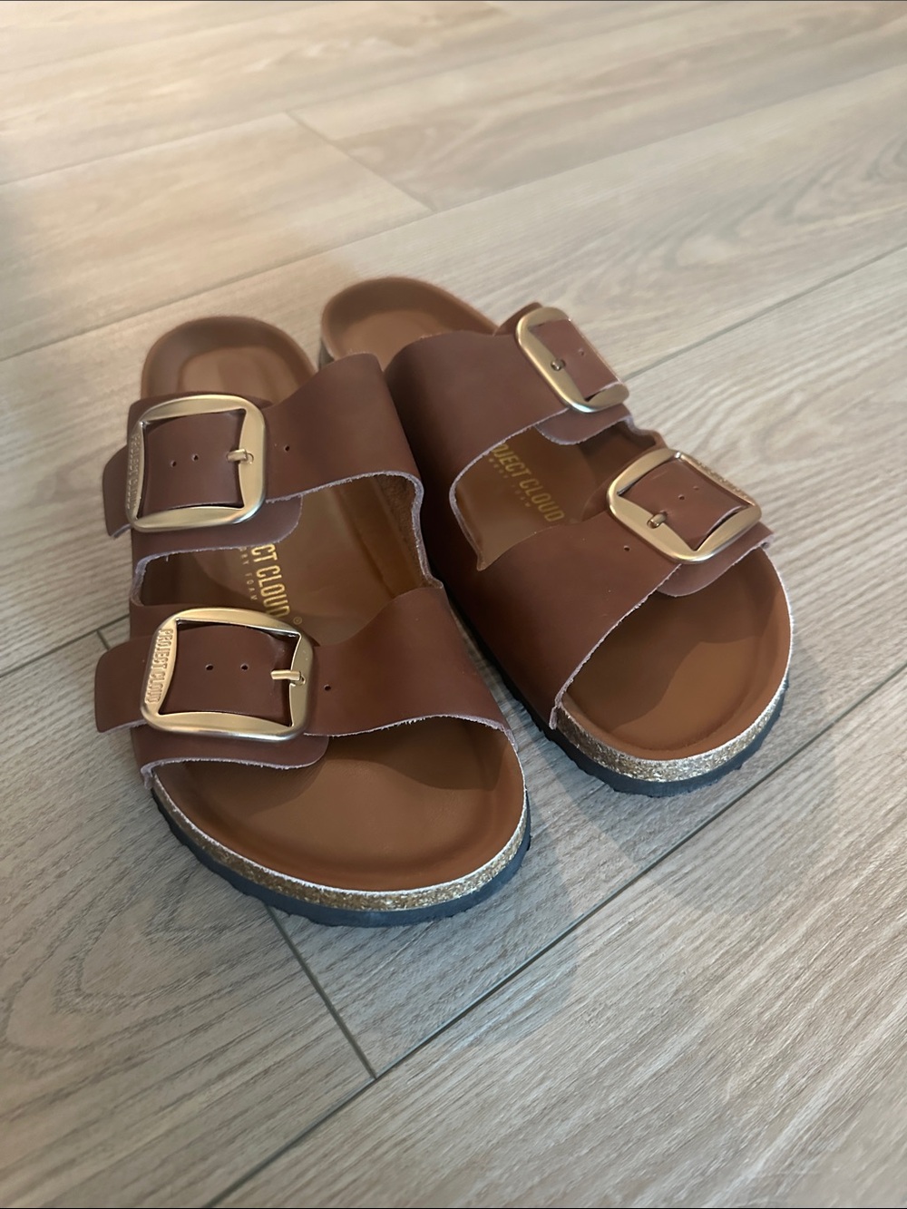 Project cloud Brown leather Double-Buckle Slide Sandals